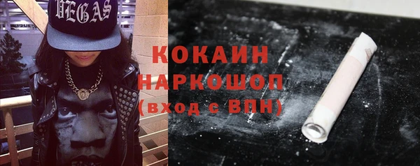 сатива Кукмор